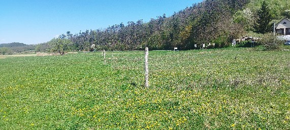 Open view of the plot and surrounding landscape